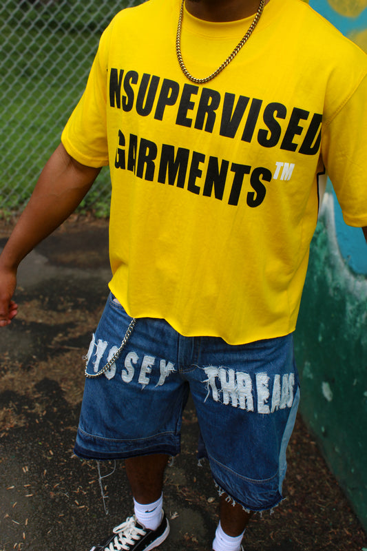 Distressed Threads Jorts